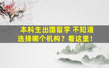 本科生出国留学 不知道选择哪个机构？看这里！